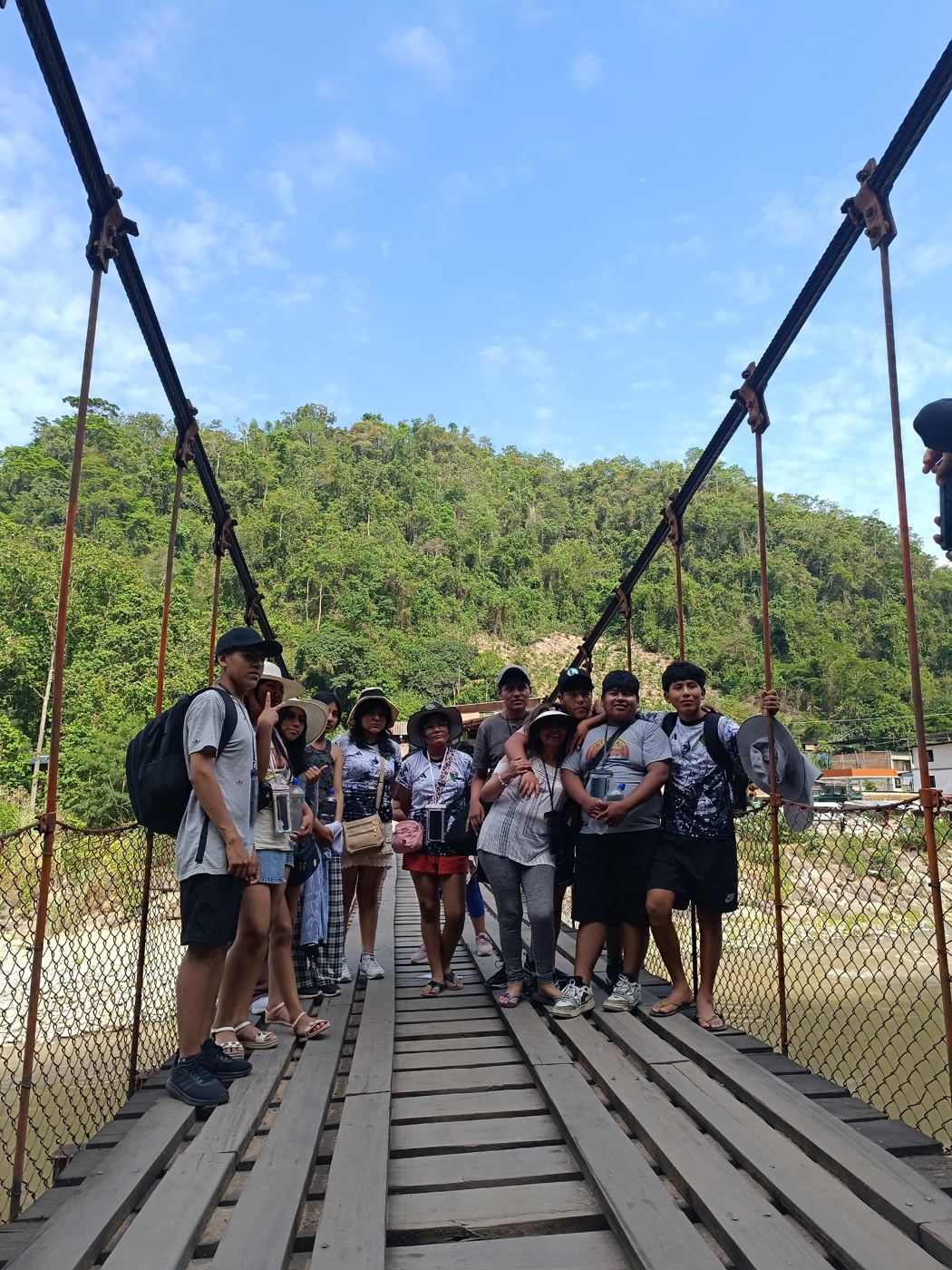 Puente colgante en la selva
